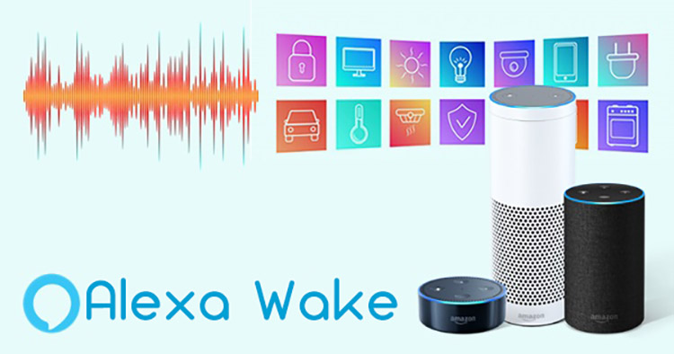 Thiết Bị Smarthome - Amazon Alexa là gì? Có tính năng nổi bật nào? Thiết bị nào dùng được 2